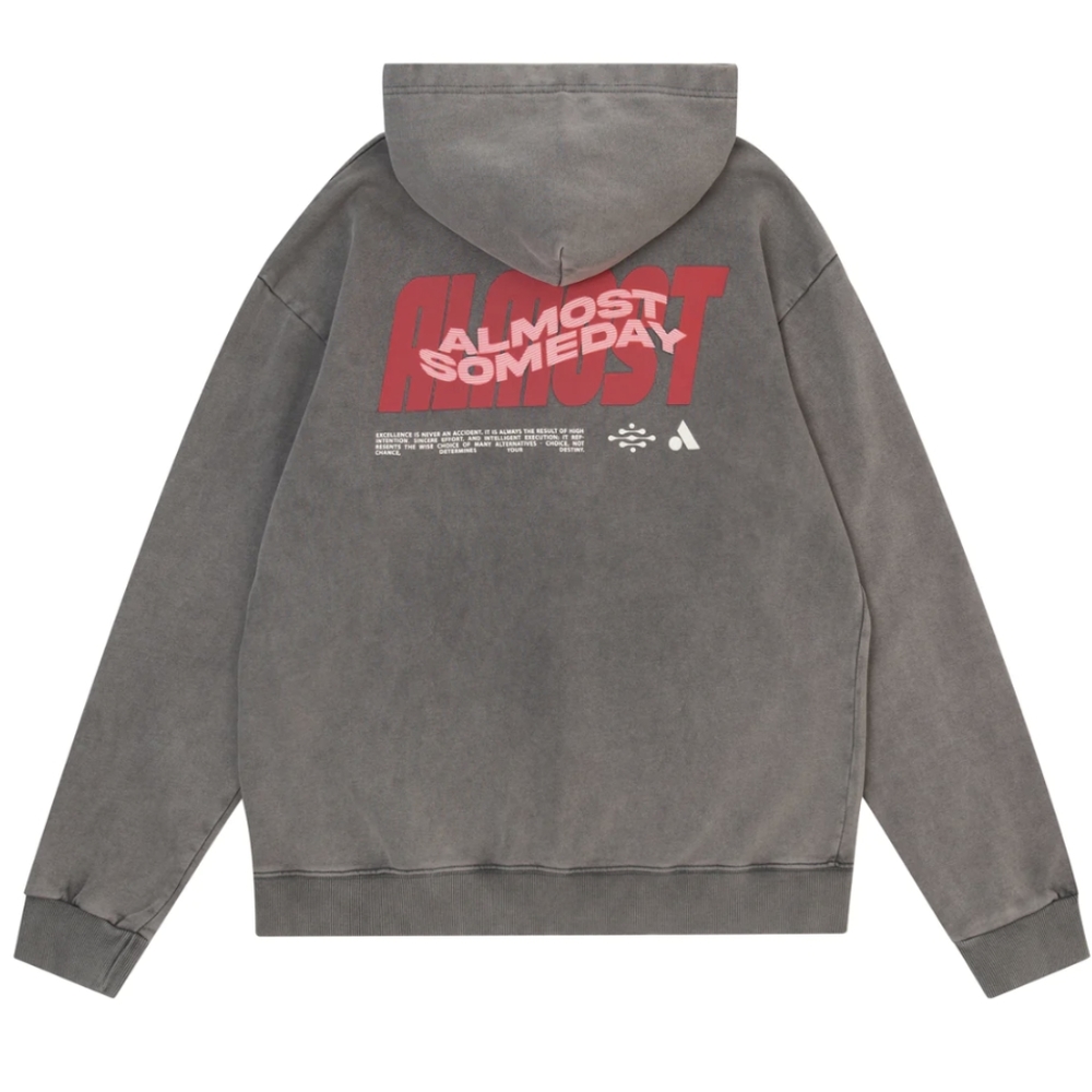 NWT Almost Someday Warp Hoodie (Grey)
